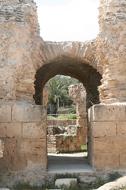 Tunis, Carthage-069
